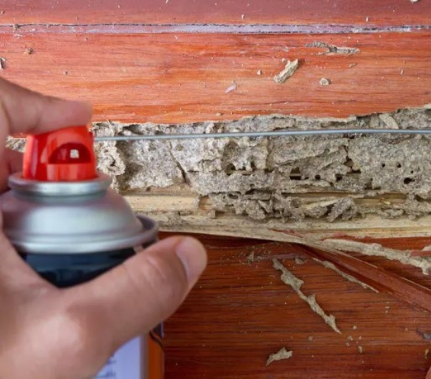 Termite treatment options compared